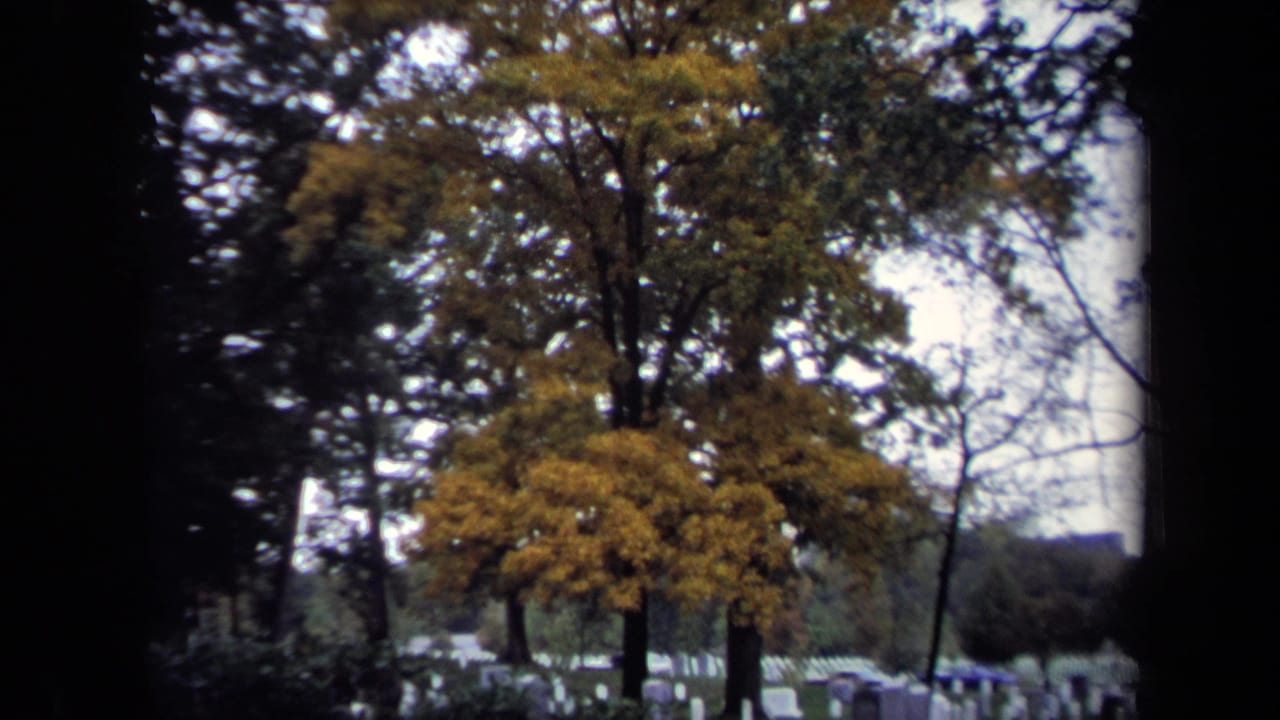 1970 Washington DC cemetery scene with yellow foliage, dark trees, rows of white headstones, and distant structures.