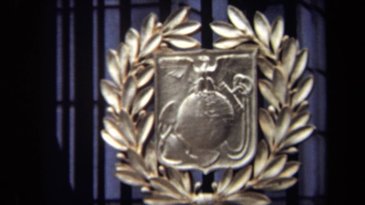 Gold-toned shield emblem encircled by a laurel wreath against a dark background.