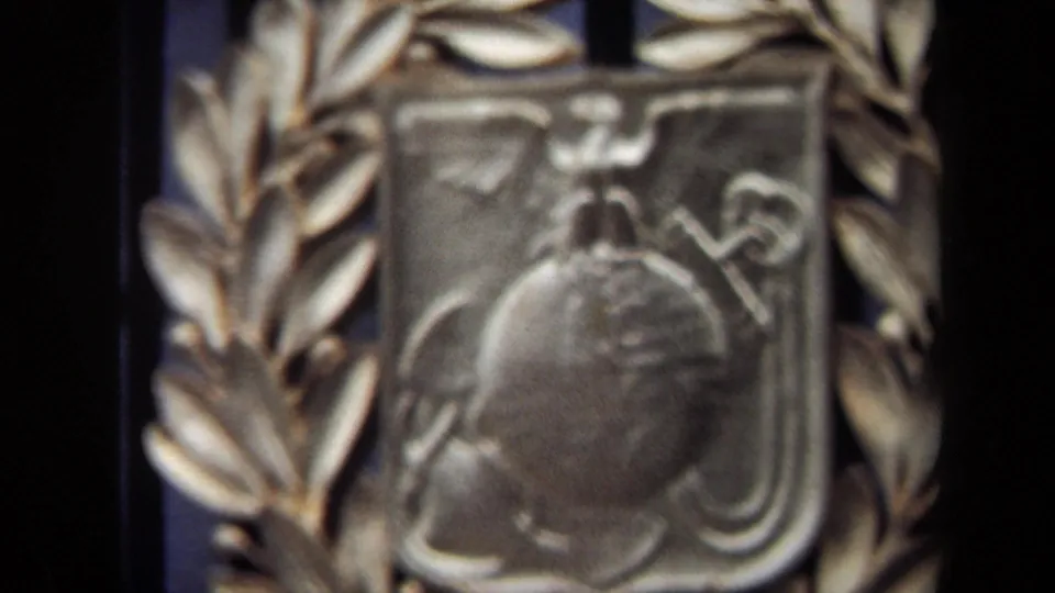 Soft 8mm close-up of the gold-toned wreath and shield emblem, with a raised globe-like shape filling the lower center.