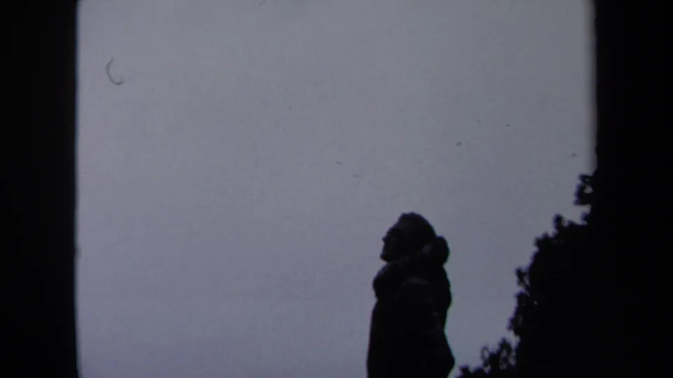Close 1970 Washington, DC frame of a silhouetted person or statue near foliage, with facial detail obscured by exposure.