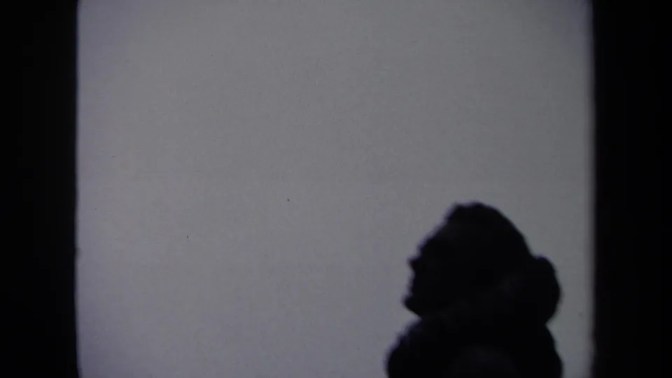 The visitor-shot 8mm frame holds a dark human profile silhouette below a bright wall area as the camera moves.