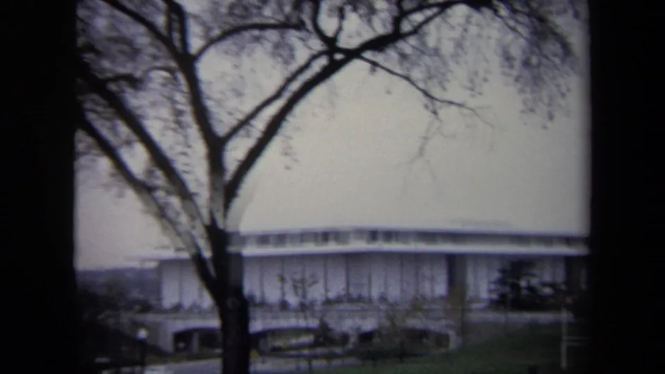 Washington, DC exterior frame with a bare foreground tree, large white building, parked cars, and open lawn visible through soft 8mm focus.