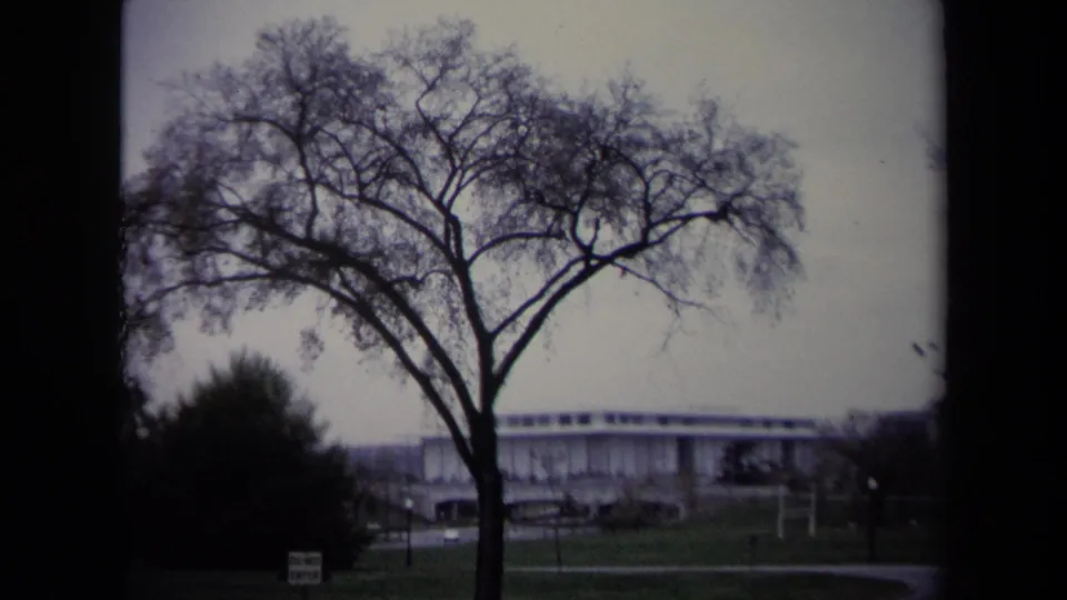 Home-movie frame from Washington, DC showing a bare tree silhouetted over a lawn with a white building, parked cars, and a small sign behind it.
