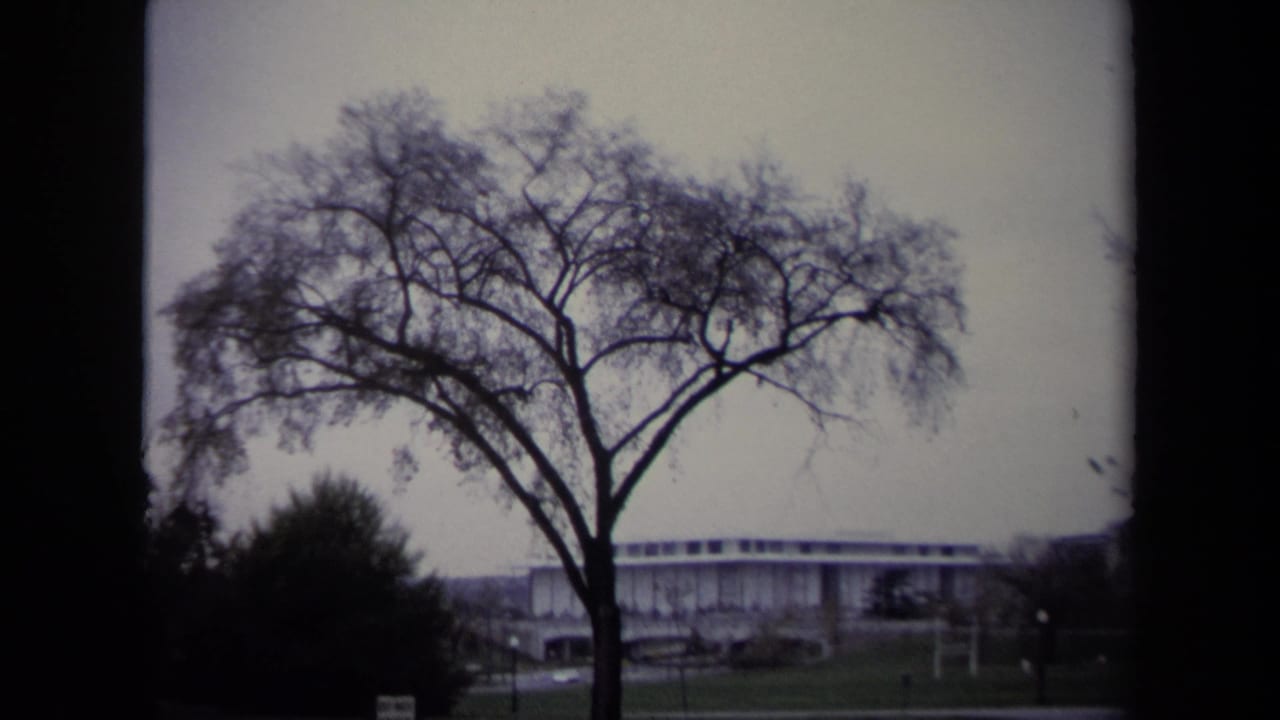 Leafless tree silhouetted before a low windowed building under a gray sky.