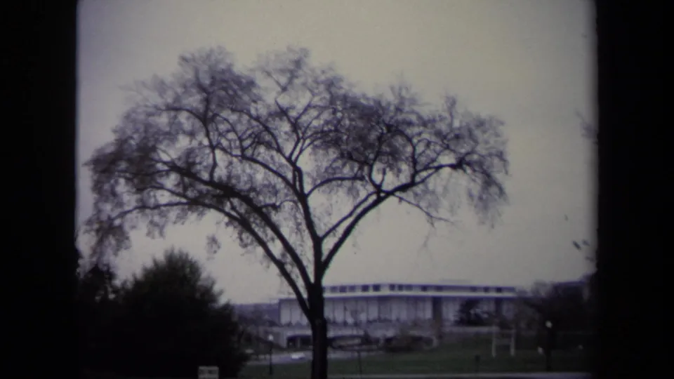 1970 Washington DC 8mm frame with a bare tree in front of a low modern windowed building on an overcast day.