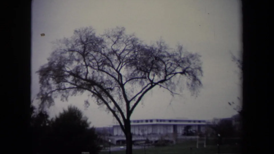 A Washington DC exterior view shows a leafless tree, gray sky, and modern low building within visible 8mm film edges.