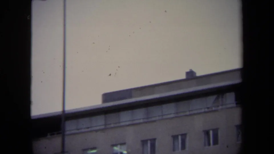 A flagpole rises beside a low Washington DC building, with windows and roof details visible under a pale sky.