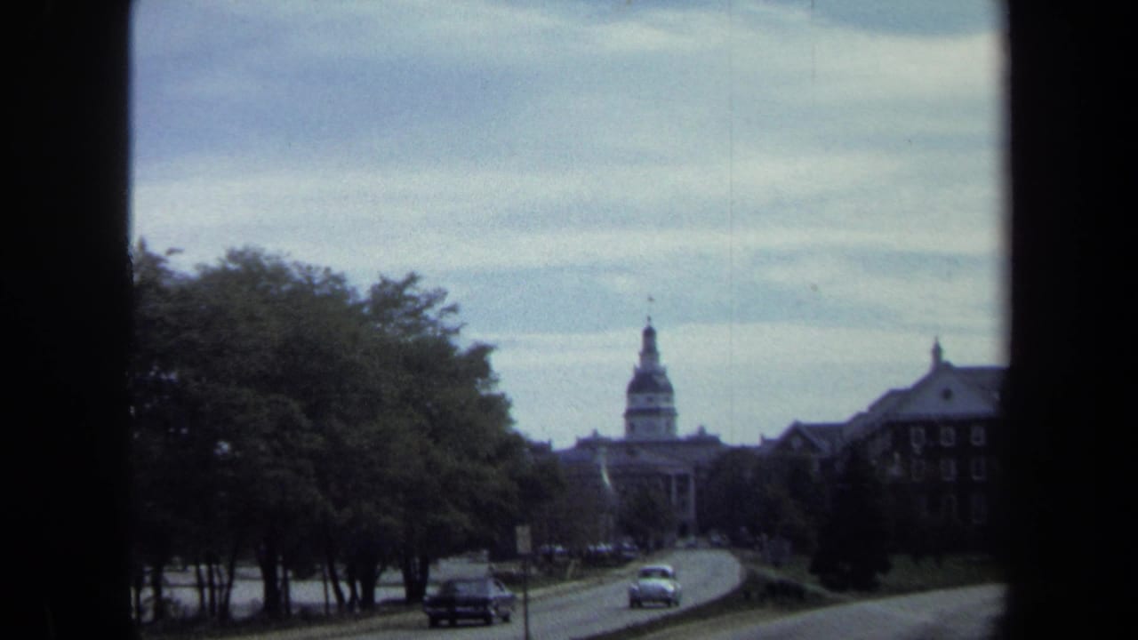 Tree-lined Washington street with cars and a distant domed building.