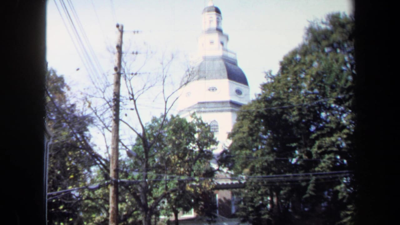 White domed cupola rises behind trees, utility poles, and overhead wires.