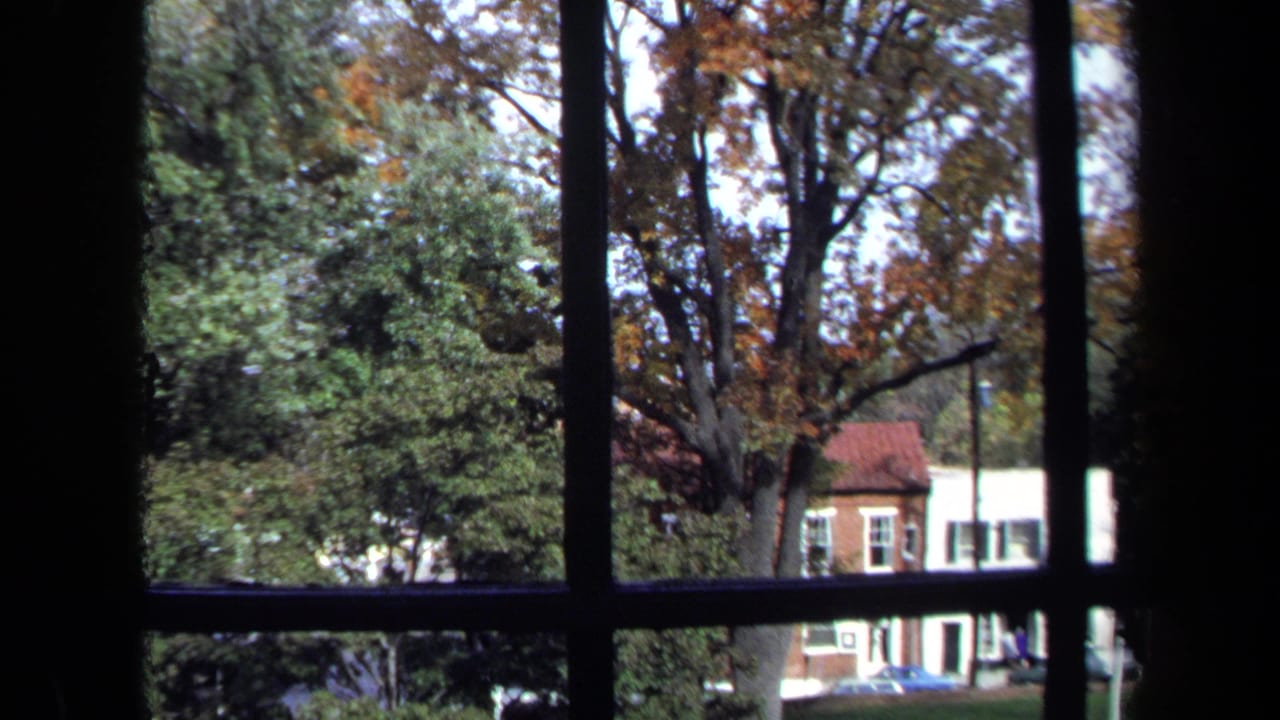Dark window frame with trees outside and buildings partly visible across the lawn.