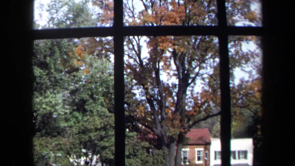 The camera tilts or reframes through the divided window toward autumn trees and a partly obscured brick building.
