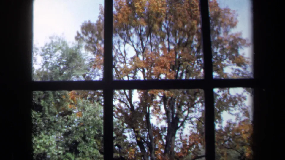 Soft 8mm frame through a window, with autumn foliage, pale sky, and partially hidden buildings outside.