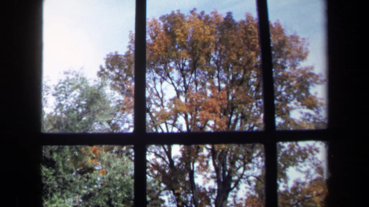 1970 8mm Washington, DC view through dark window mullions toward orange and green autumn trees.
