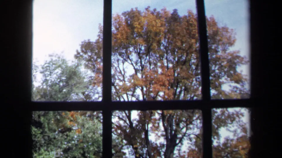 1970 8mm Washington, DC view through dark window mullions toward orange and green autumn trees.