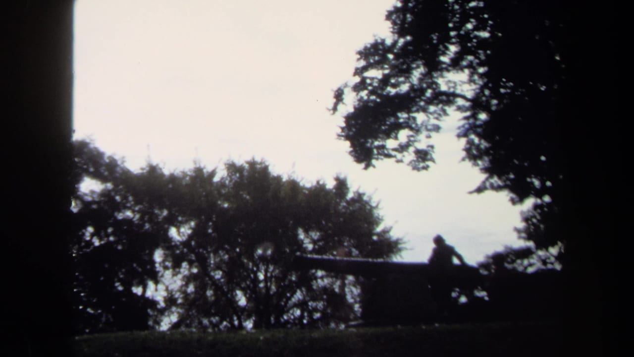 Silhouetted person standing on a large cannon beneath trees against a bright sky.