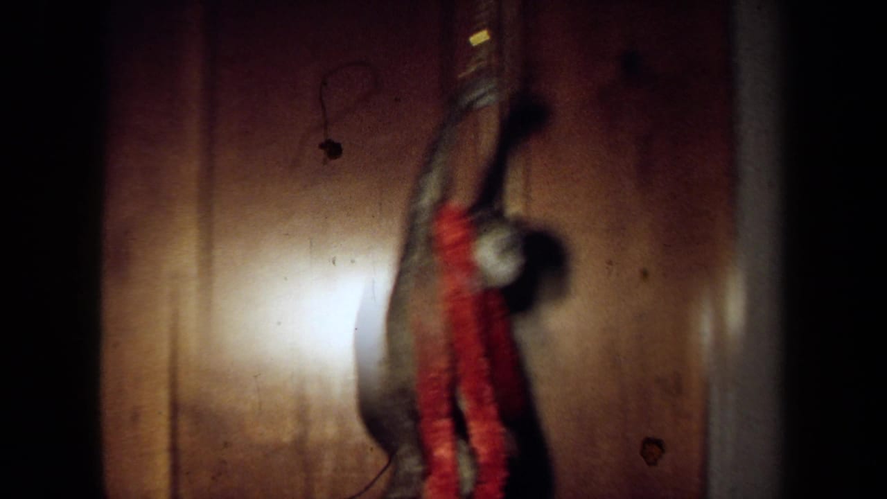 Soft 8mm view of a hanging plastic monkey decoration on a wooden door, with red garland and shadow in warm indoor light.