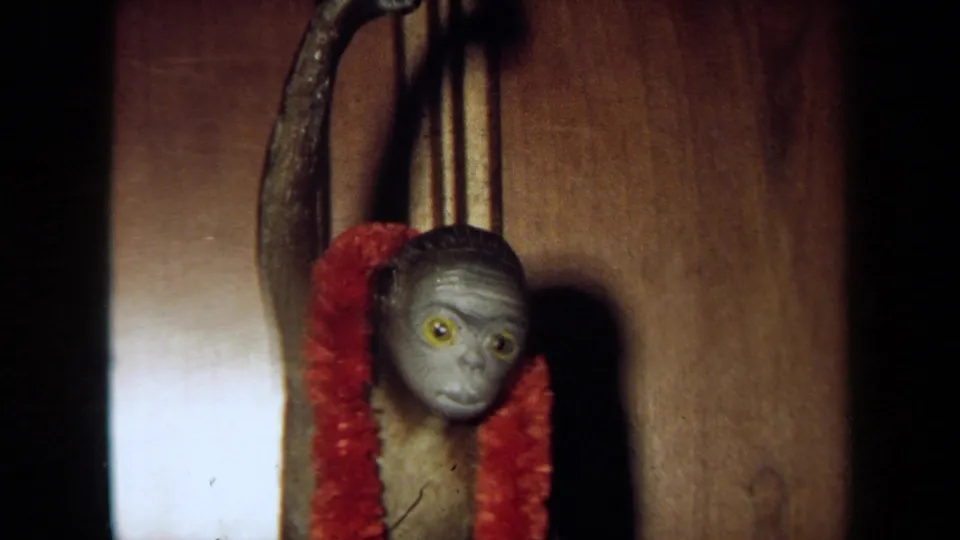 Closer 1971 California home-movie frame of a gray plastic monkey face and red garland hanging from a wooden door.
