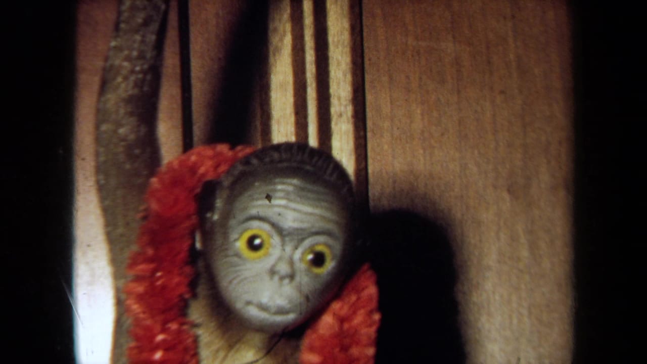 1971 California 8mm frame showing a small gray-faced monkey with yellow eyes looking through wooden slats near a red garland.