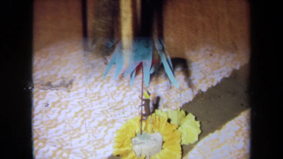 1971 California 8mm frame showing a handmade-looking paper palm and yellow flower decoration against a textured interior surface.