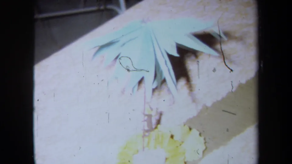 1971 California 8mm close frame of pale blue paper palm leaves with a yellow flower decoration partly out of focus below.