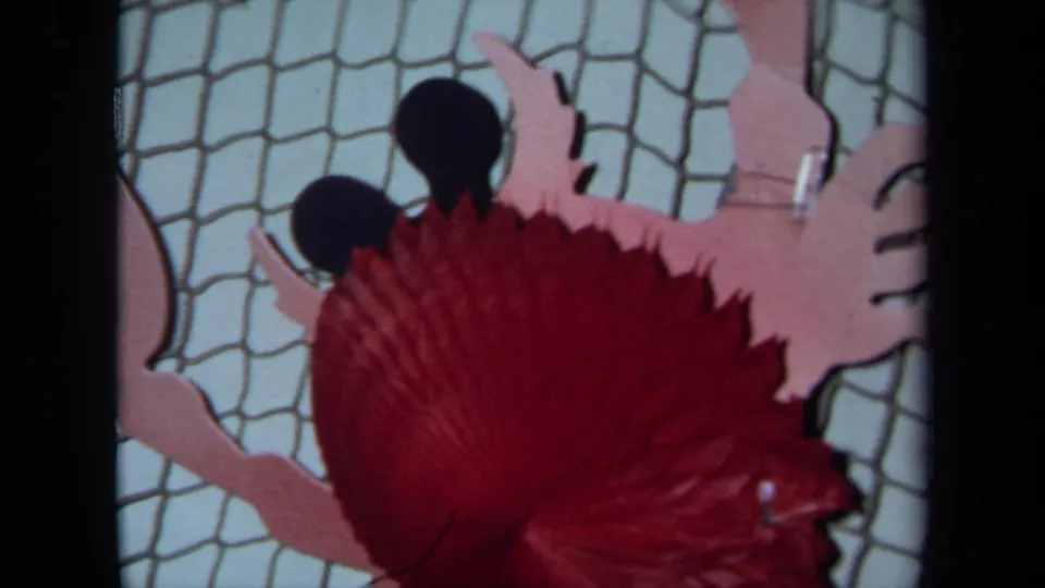 1971 California 8mm frame showing a pink paper crab craft with black eyes, raised claws, and a red fan-like body against a white grid backdrop.