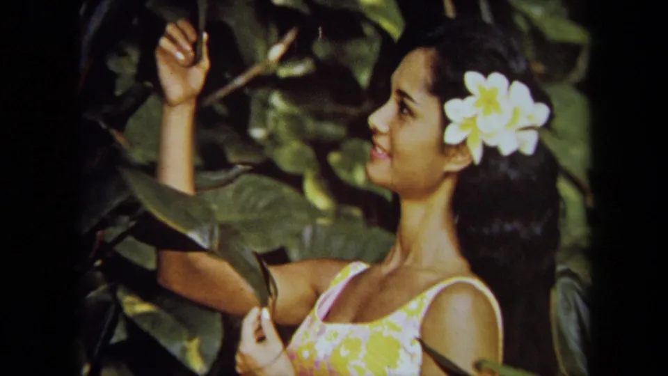 1971 California 8mm frame showing a woman in a floral dress with a white plumeria-like flower in her hair, reaching among large leaves.