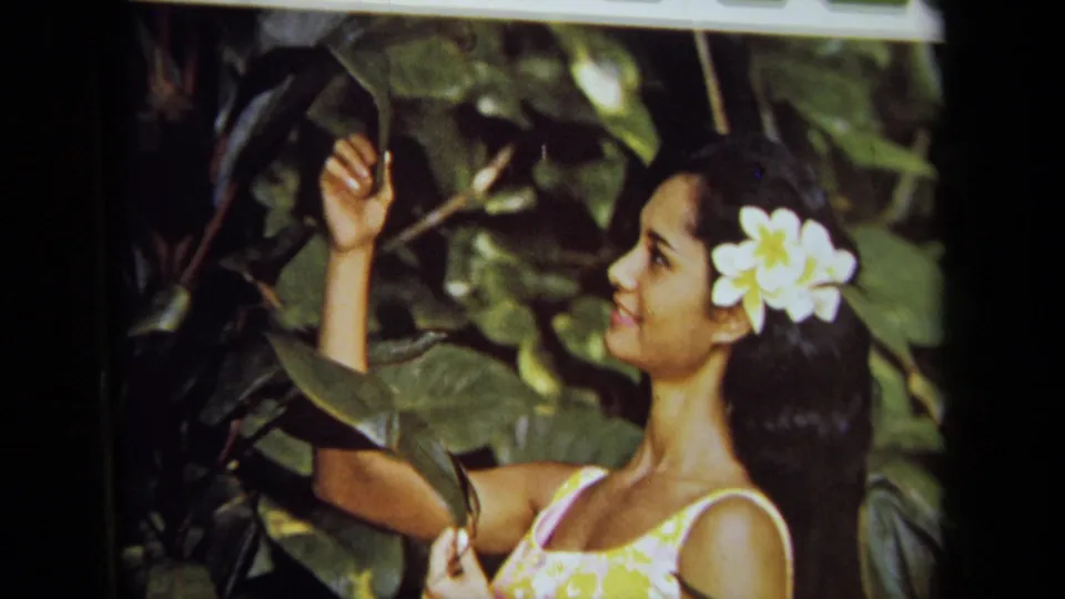 1971 8mm frame showing a woman in a yellow floral top with a white flower in her hair reaching toward tropical leaves.