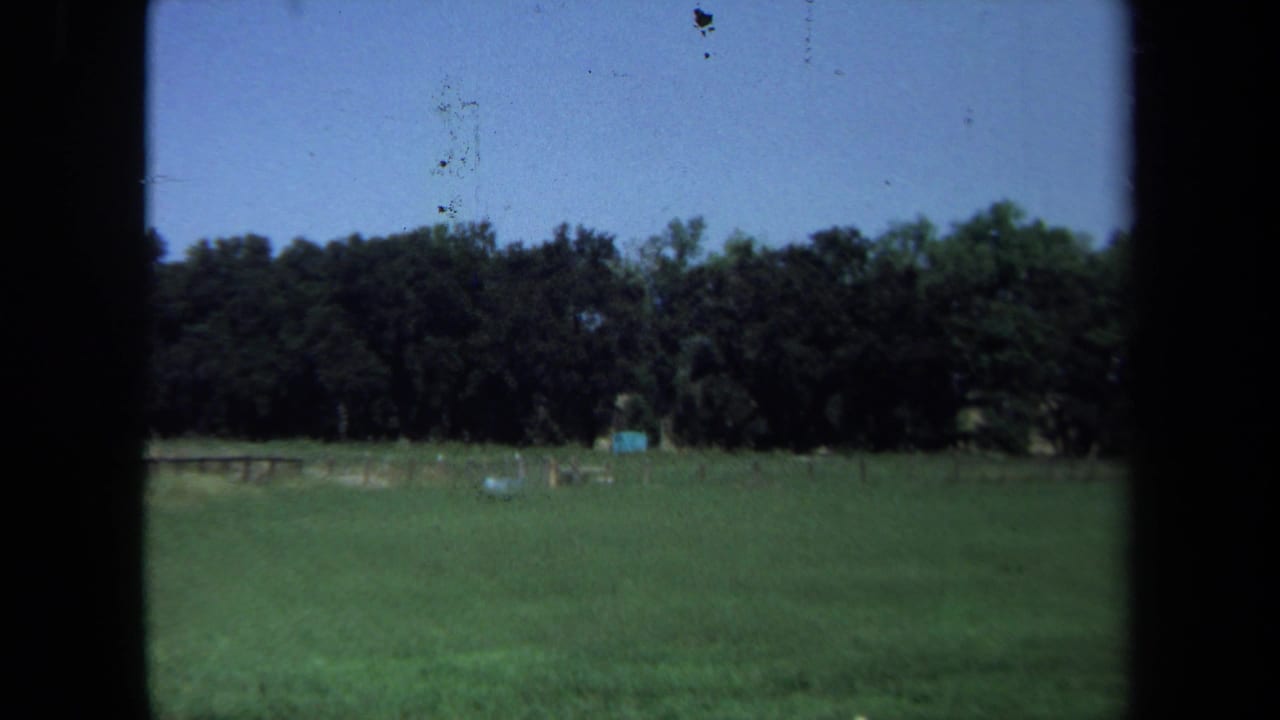 Open pasture with treeline, small blue structure, and dark vertical film border.