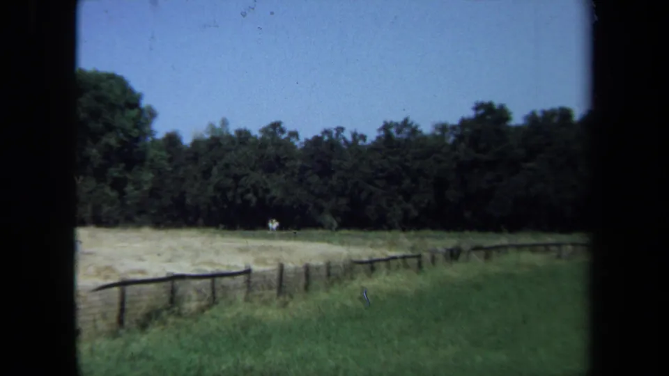 1971 California 8mm frame showing a fence along grass, a pale field, dense trees, and very distant tiny human figures.