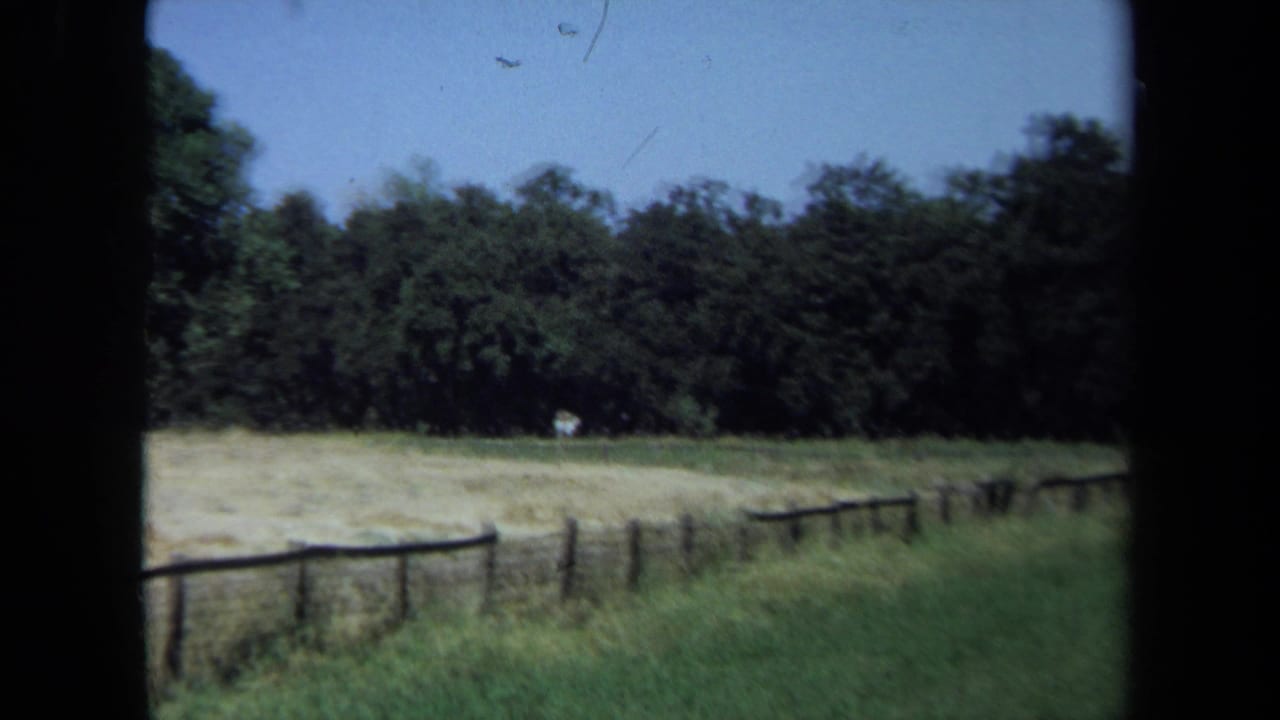 Dry field with wooden fence, tall grass, treeline, and blue sky.