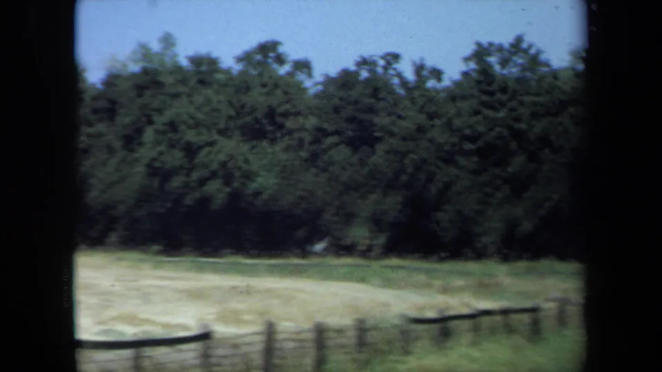 Soft 8mm frame of a rural California field with fence rails, tall grass, and a shaded treeline.