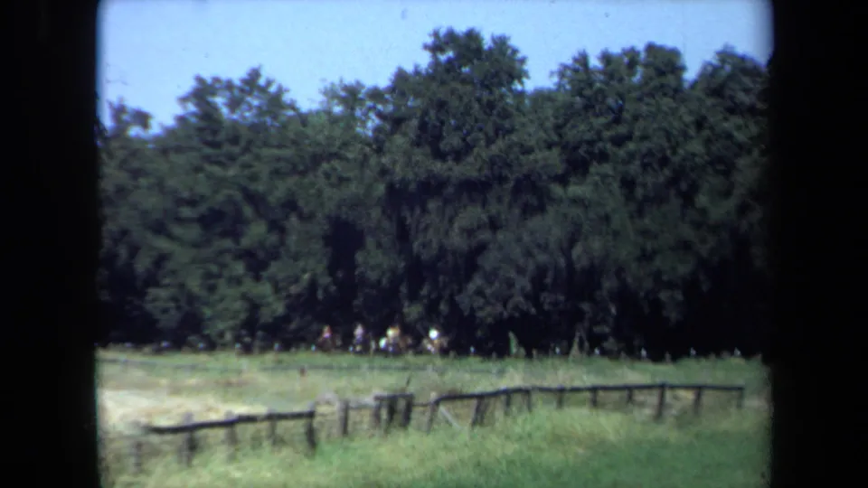1971 California 8mm frame showing a fenced field, dense trees, and distant people partly obscured by shade.