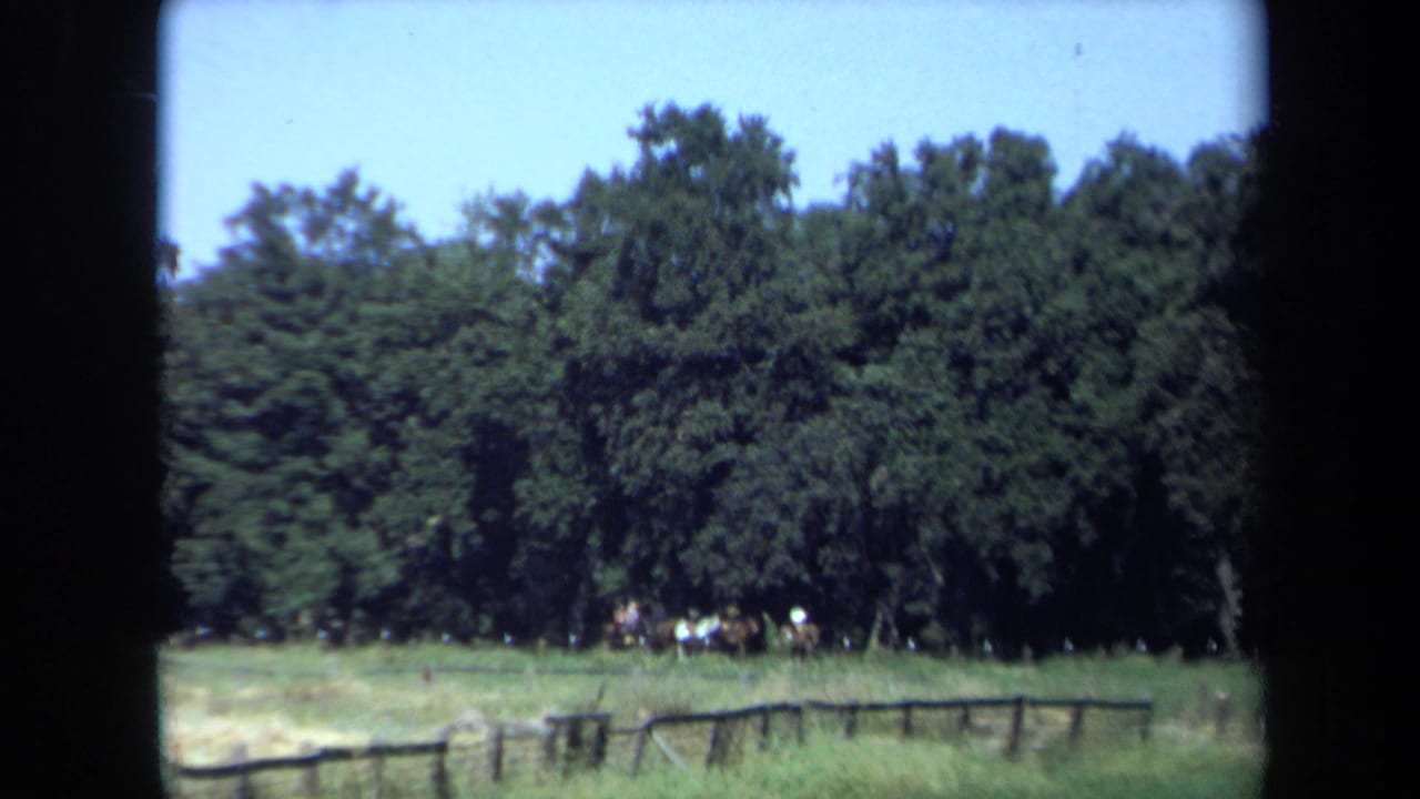 Grassy field with a wooden fence, tree line, and distant horseback riders.
