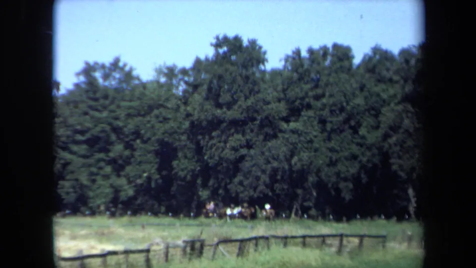 1971 California 8mm frame showing a fenced grassy field, dense trees, and small distant horseback riders near the tree line.