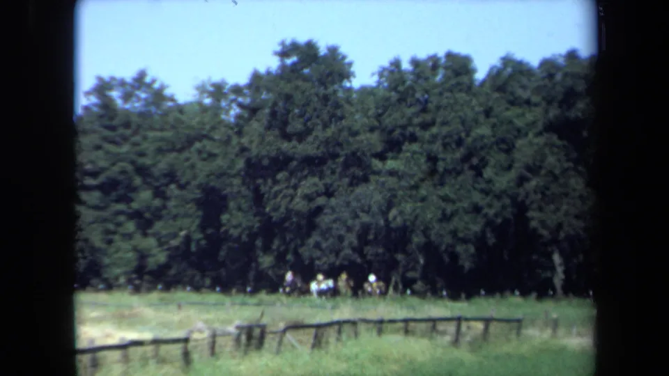 1971 California ranch or park view with a low wooden fence, tall grass, tree line, and distant riders in bright daylight.