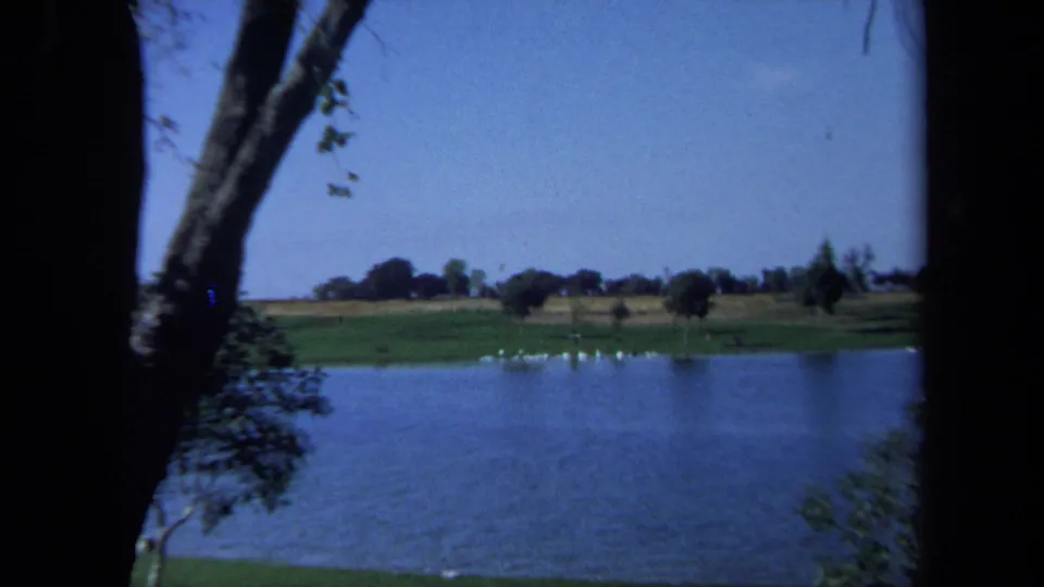 Wide 1971 California 8mm lakeside view showing blue water, a grassy far bank, scattered trees, and white birds near the shore.