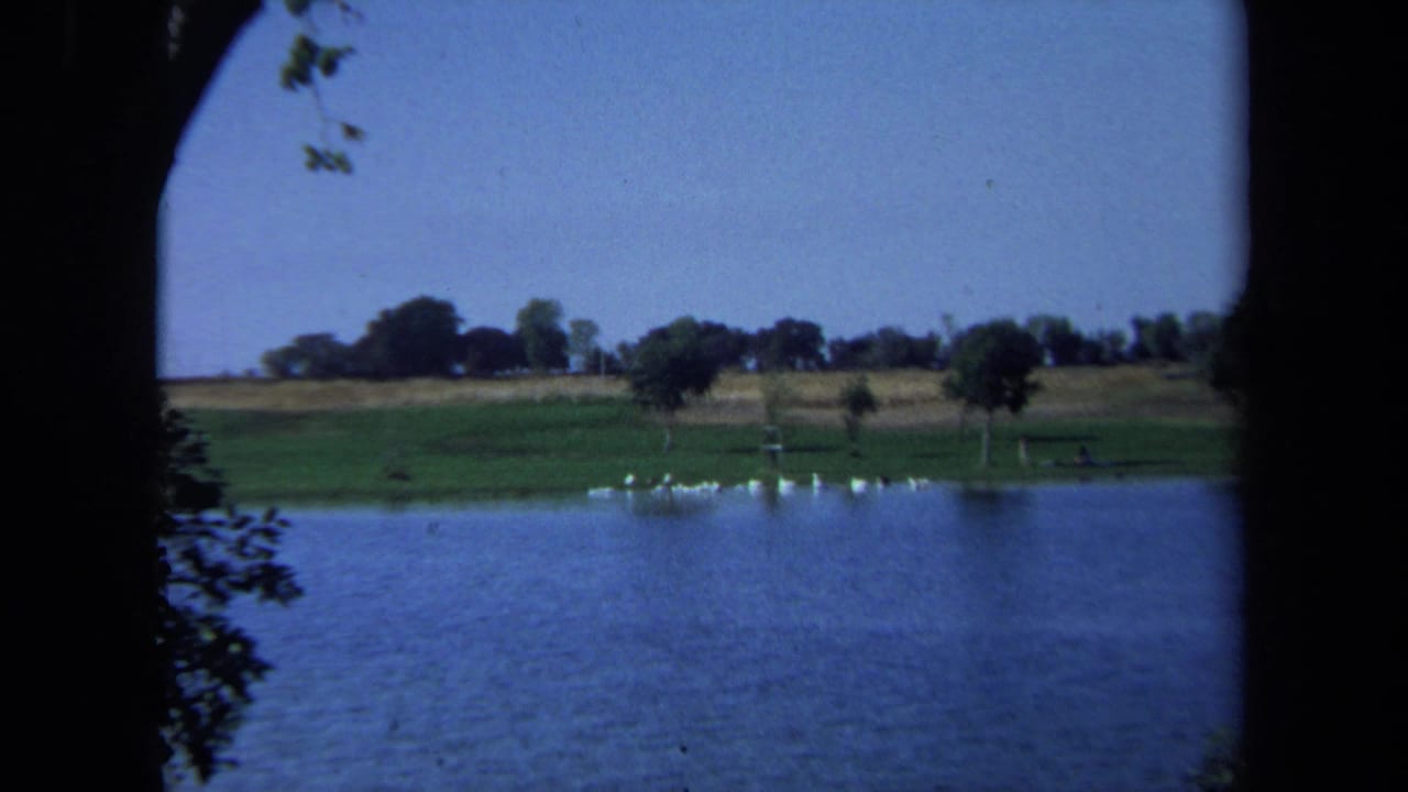 1971 California 8mm frame showing a wide lake, distant geese, green shore, open field, and trees under a blue sky.
