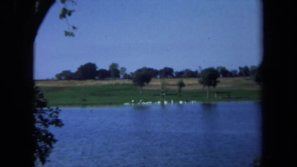 1971 California 8mm frame showing a wide lake, distant geese, green shore, open field, and trees under a blue sky.
