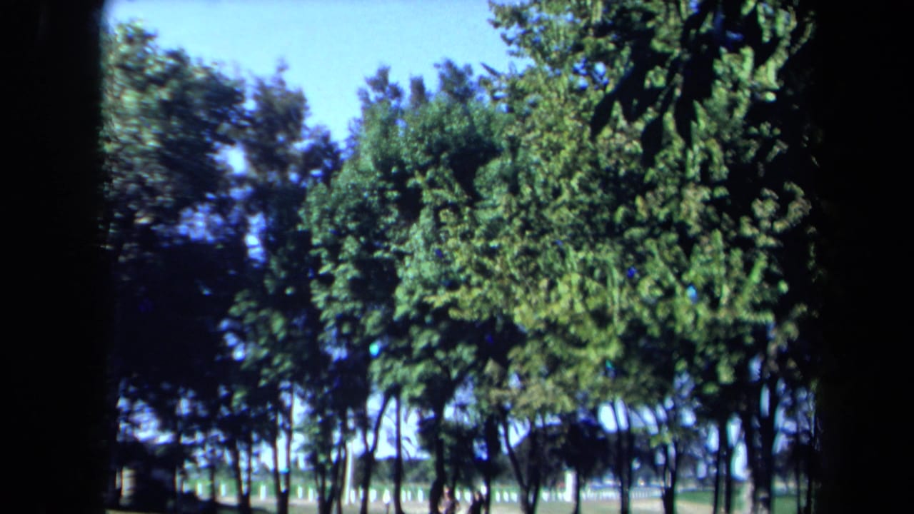 Sunlit park trees and a white fence seen across a grassy area.