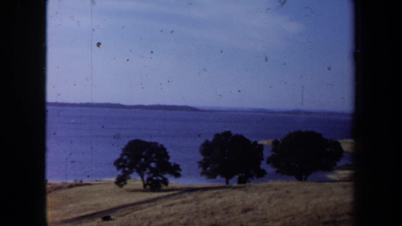 Blue ocean beyond dry grass and several dark trees under a pale sky.