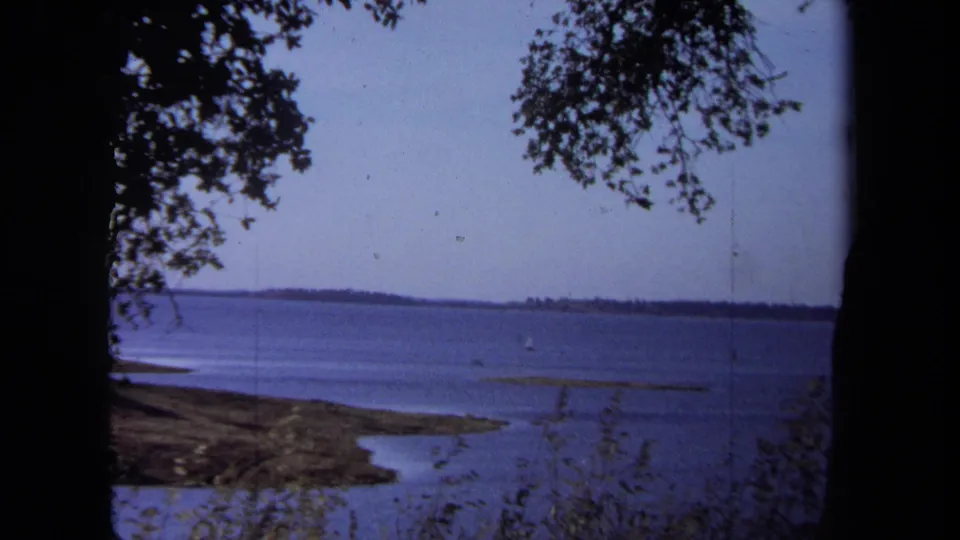 California lakeshore view on 8mm film, with branches overhead, shallow shoreline, open water, and distant low land.