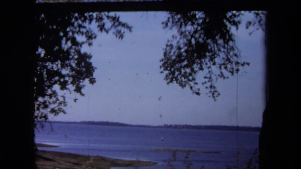 1971 California vacation footage frame showing a calm lake, overhanging tree branches, and a low distant shoreline.