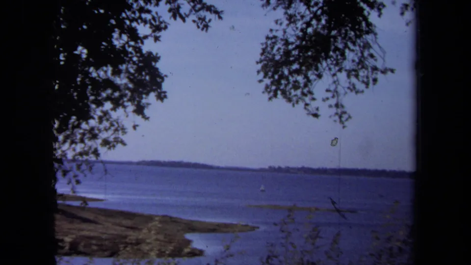 California 8mm lakeside frame with tree canopy, rocky or muddy shore, open water, distant land, and a small sailboat.