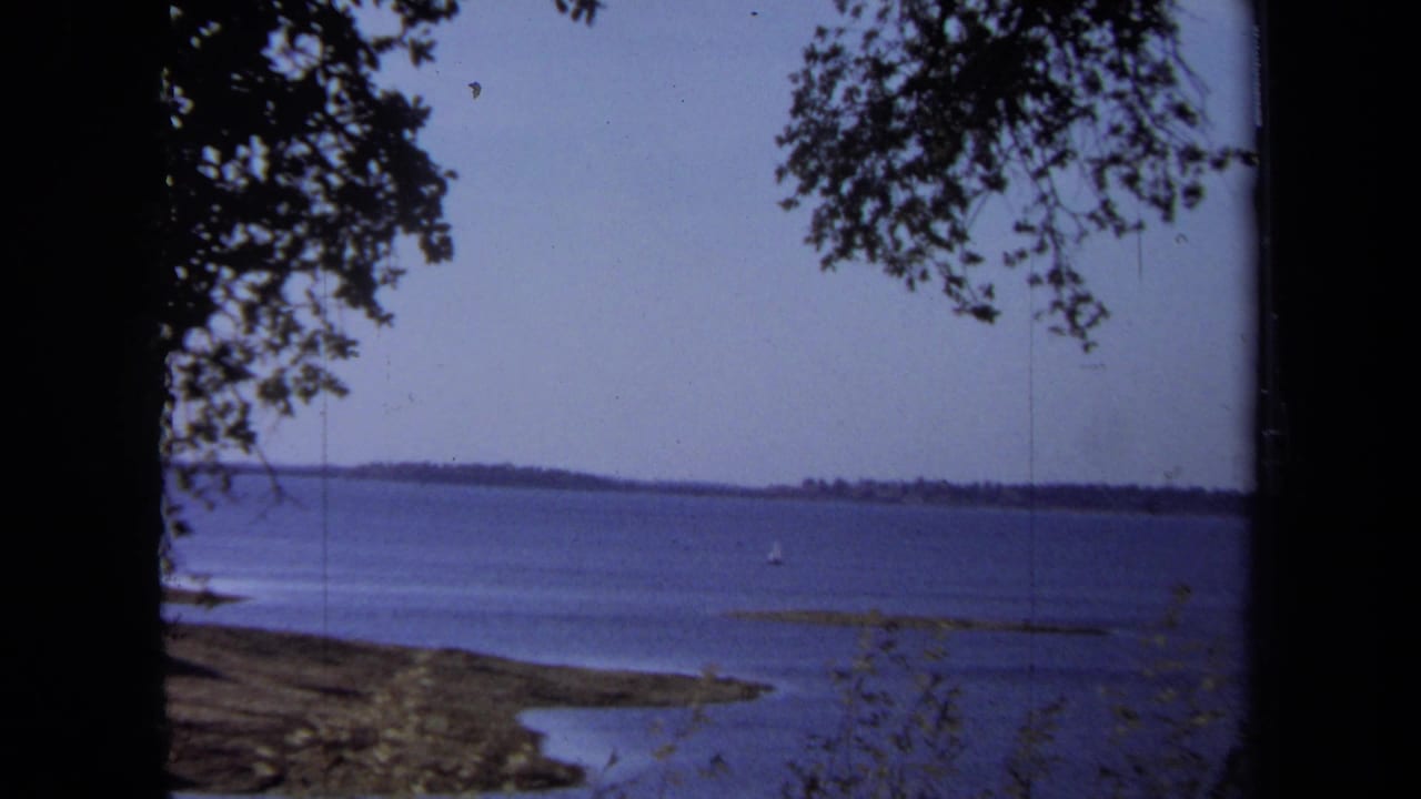 1971 California home-movie frame showing Folsom Lake water viewed from shore through trees, with a low distant shoreline.