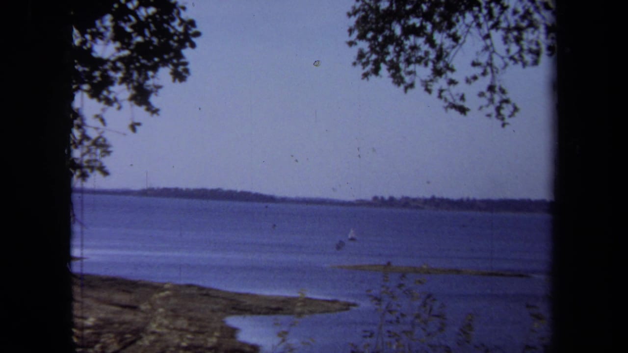 Blue lake with distant shoreline, tree branches, and a small sailboat on the water.