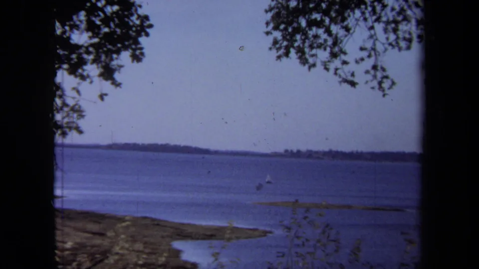 1971 Folsom Lake view with a small sailboat on blue water, framed by tree branches and a dark foreground trunk.