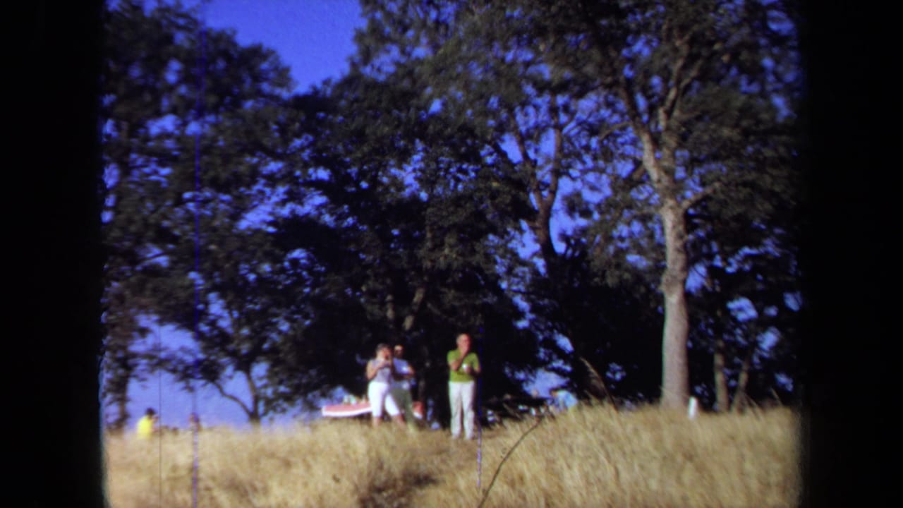 Wide 1971 California 8mm frame of adults standing in a grassy picnic area under large trees.