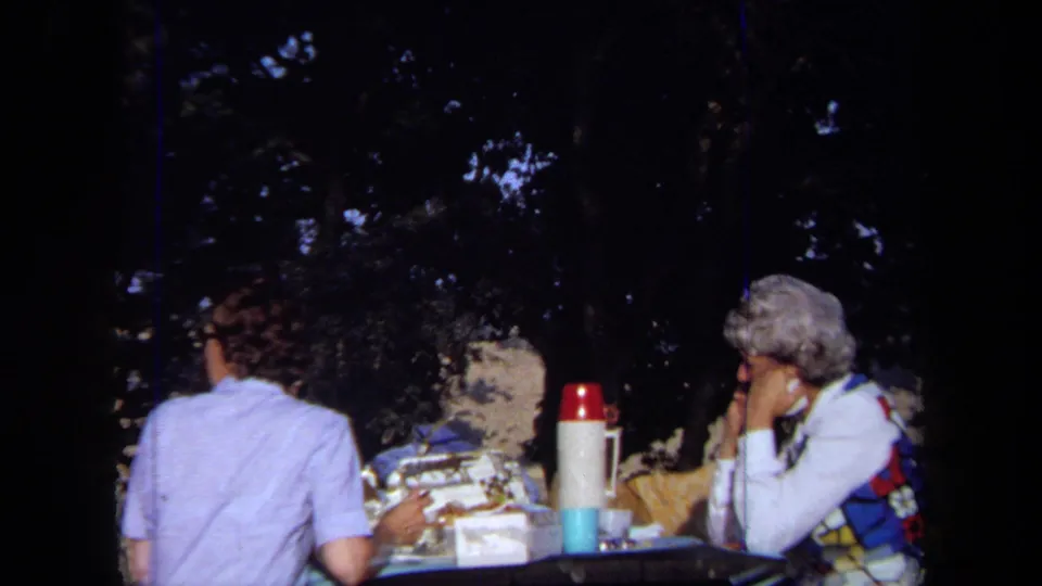 The 1971 California picnic scene shows two women at a table beneath heavy tree shade, with food, cups, and a red-topped thermos visible.