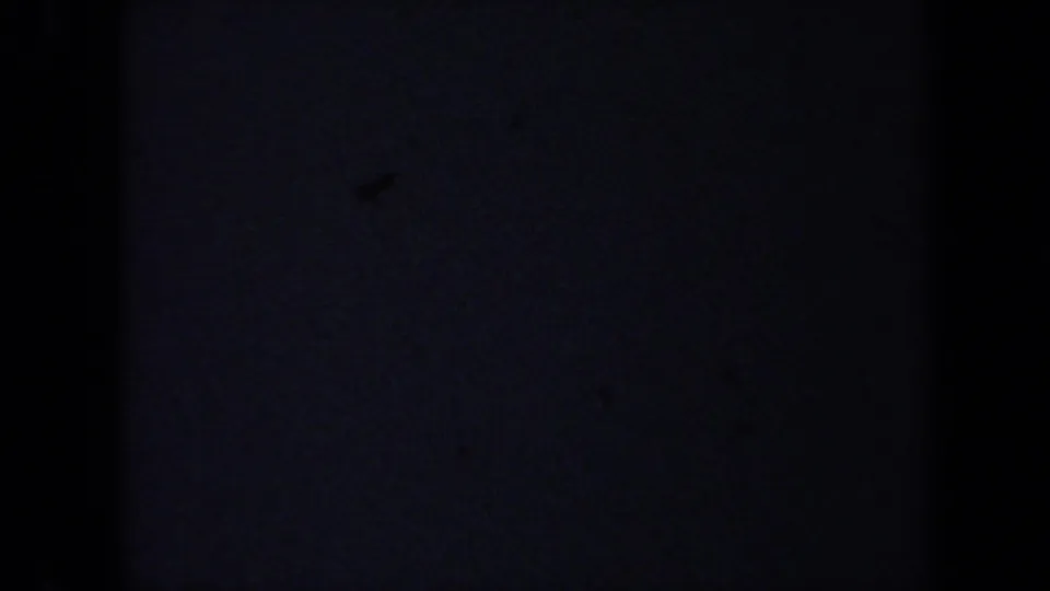 Dark 8mm transitional frame from the 1971 California clip, with only faint texture and film artifacts visible.