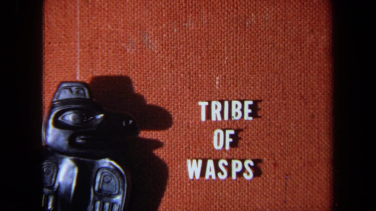 Orange fabric title card reading “TRIBE OF WASPS” beside a black carved figure and its shadow.